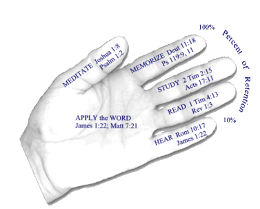 Hand Illustration
