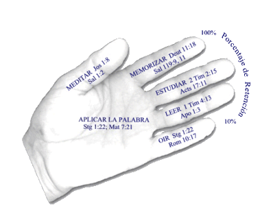 Hand Illustration